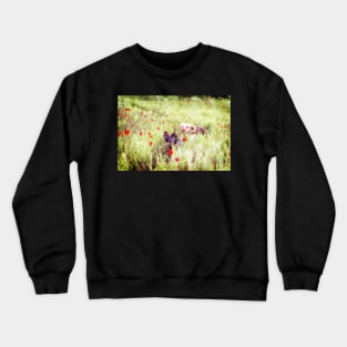 Poppy Adventure Spinone Crewneck Sweatshirt